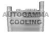 AUTOGAMMA 107304 Intercooler, charger